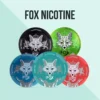 White Fox Nicotine Pouches Online now in Dubai