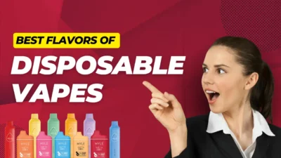 Best Disposable Vapes