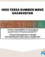 Heets Terea summer wave tobacco sticks from Kazakhstan in Dubai, Abu Dhabi stores.