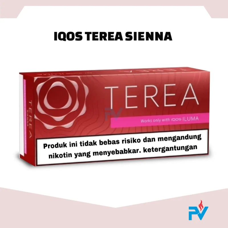 Buy Heets IQOS Terea Sienna in Dubai UAE