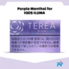 Terea Purple Menthol for iqos iluma Device in UAE Online