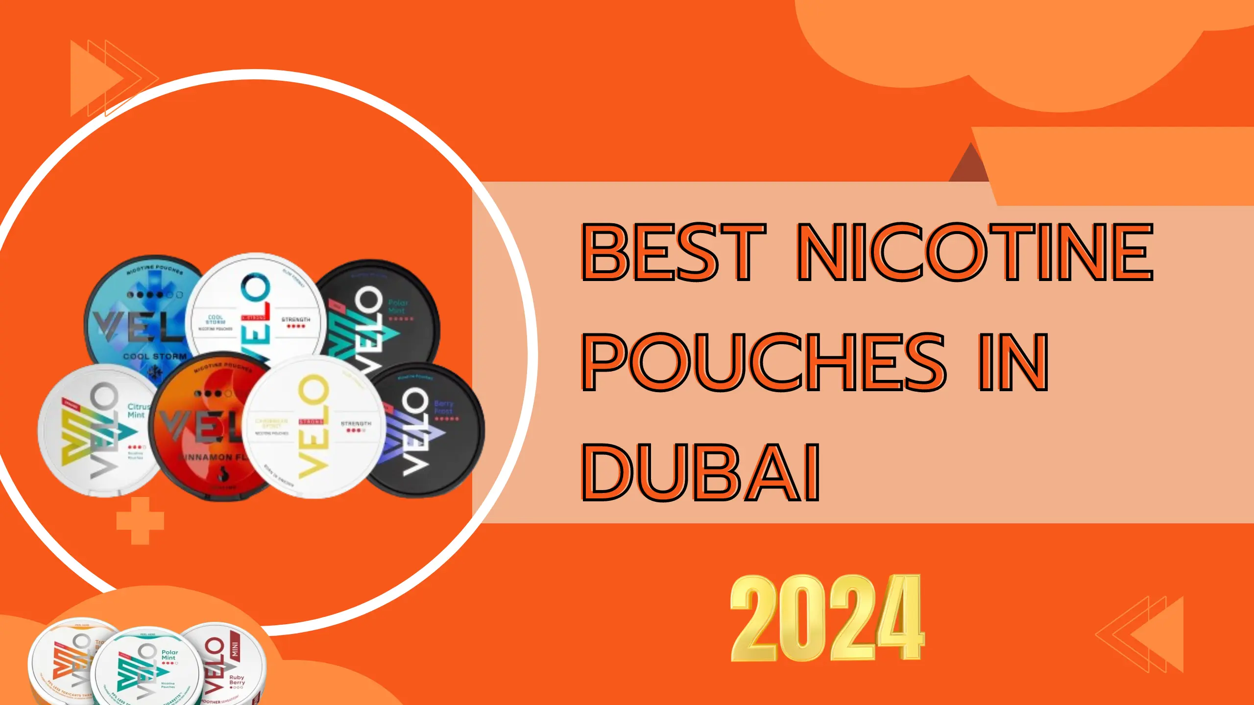 Best Nicotine Pouches in Dubai