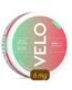 Velo Iced Melon 6 mg