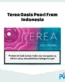 Buy IQSO Terea Oasis Pearl Indonesia in Dubai UAE