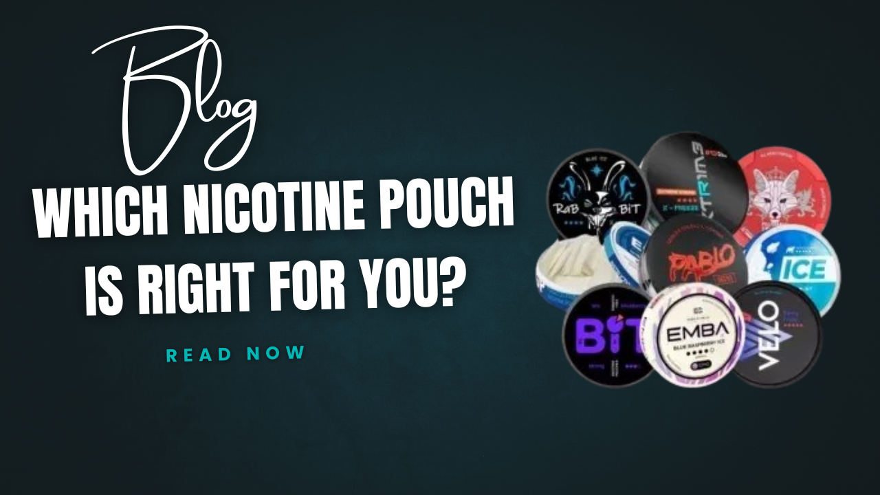 Which Nicotine Pouch Is Right for You?