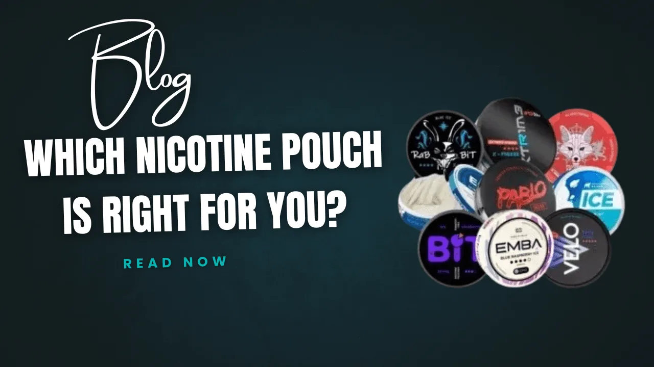 Which Nicotine Pouch Is Right for You?