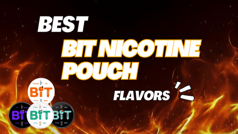 Best BIT Nicotine Pouch Flavors: Reviews & Ratings