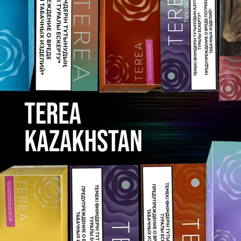 IQOS Terea Kazakhstan