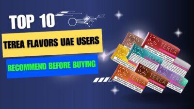 Best TEREA Flavors UAE Users Recommend Before Buying