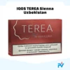 TEREA Sienna Uzbekistan woody tobacco flavor for IQOS ILUMA users